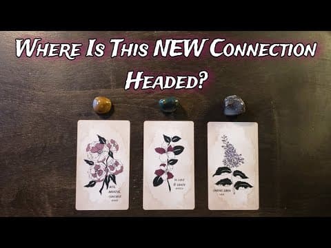 🥀💋 Where Is This New Connection Headed? 🥀💋  Pick A Card Love Reading