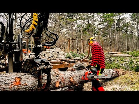 Dad Builds A House  Ep. 1 - Clearing The Land