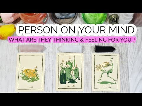 Pick•• How Do They Truly Feel & Think About You 😍their Intentions & Next Move | Timeless