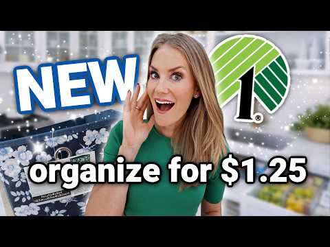 New Dollar Tree 2026 Organization ✨ For Your Entire House!