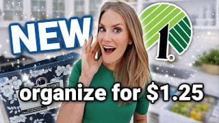 New Dollar Tree 2026 Organization ✨ For Your Entire House!