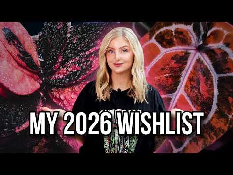 My 2026 Plant Wishlist (the Ones I Still Want)