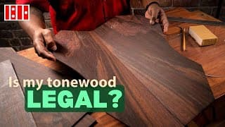 What Guitarists Must Know About Wood Regulations