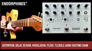 Endorphines + Andrew Huang Ghost Pedal