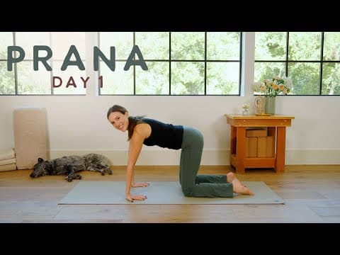 Prana - Day 1