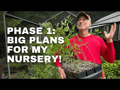 Plant Nursery Makeover And Expansion: Making Room For More Plants And Big Plans | Part 1