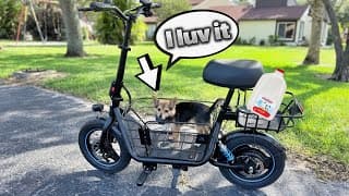 Pet Friendly Scooter/e-bike Hybrid - Gyroor C1s
