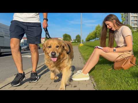 Will My Dogs Recognize Me If I Walk Right Past Them?