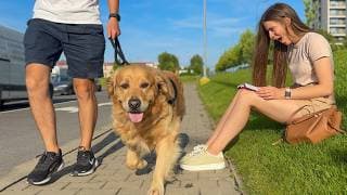 Will My Dogs Recognize Me If I Walk Right Past Them?