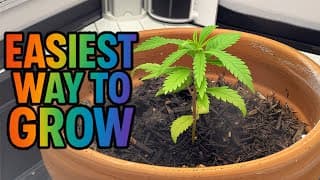 Easiest Way To Grow!