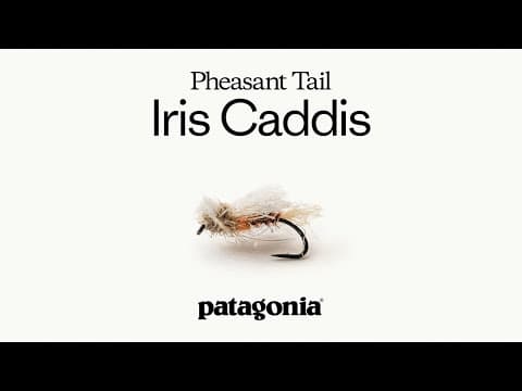 Pheasant Tail Iris Caddis By Craig Mathews | Fly Recipe