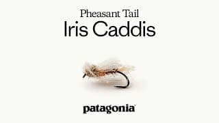 Pheasant Tail Iris Caddis By Craig Mathews | Fly Recipe