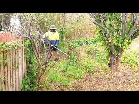 The Most Satisfying Yard Cleanup You Have Seen This Year! (part 11)