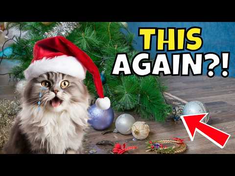 What Your Cat Really Thinks About Christmas: Holiday Behaviors Explained