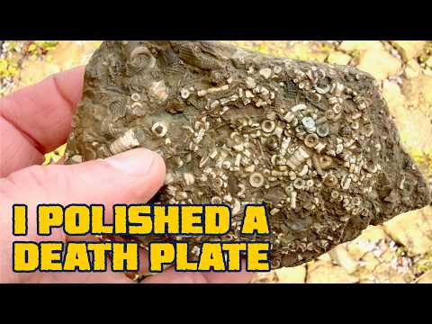 This Lake Huron Beach Is Covered In Fossils!