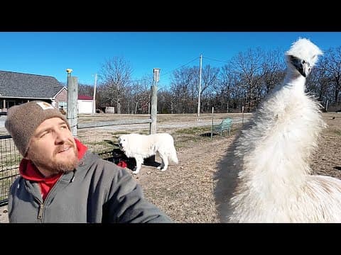 I Wasn't Expecting This Today