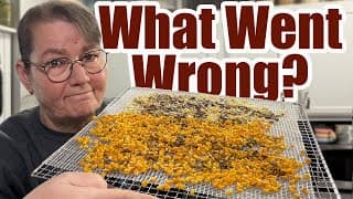 When Dehydrator Trays Burn: What Happened & What To Do About Food Safety