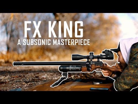 Not Your Daddy's Bb Gun // This Airgun Packs A Punch!