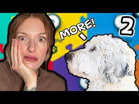 Can You Really Teach Your Dog To Talk? | How To Build A Button Board Episode 2