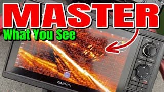 Live Scope For Beginners