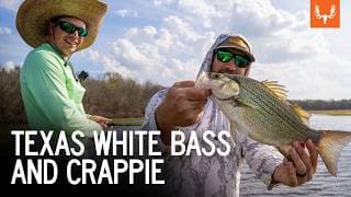 Texas White Bass And Crappie | The Element
