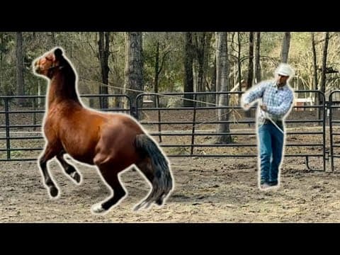 Mistakes Were Made, Now What Do We Do?