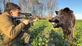 Hunting Wild Hogs At Night (kill Shots) *thermal Scope Cam