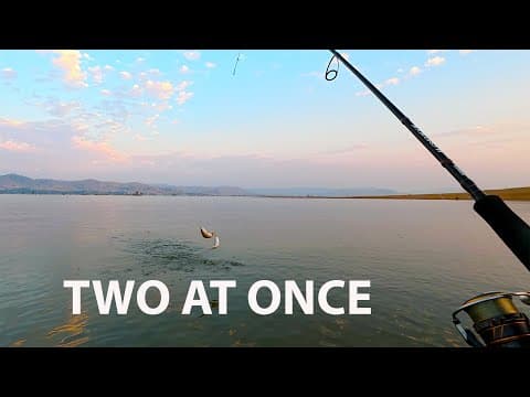 Exciting News! Lake Hume Redfin Are Back Baby...