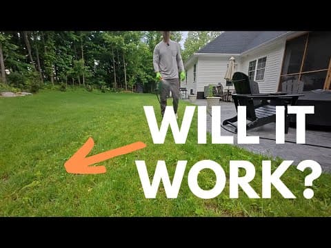 Does Hose End Weed Control Actually Work?