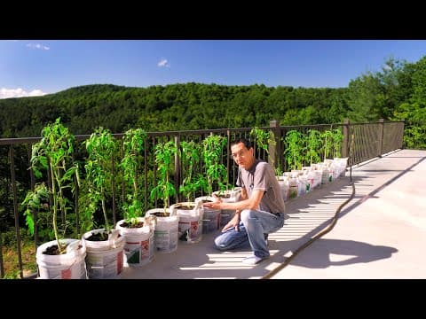 Beginner Bucket Garden For Heirloom Tomatoes & Peppers