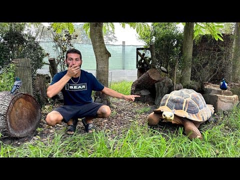 New Tortoises For Our Massive Aviary!