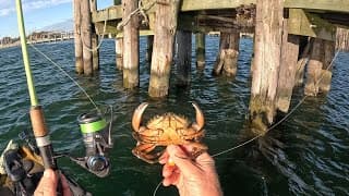 Stunning Underwater Dock Video! Crab Jig Fishing Above And Below!