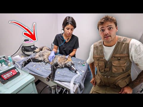 I Rushed My Pet Foxes To The Vet…