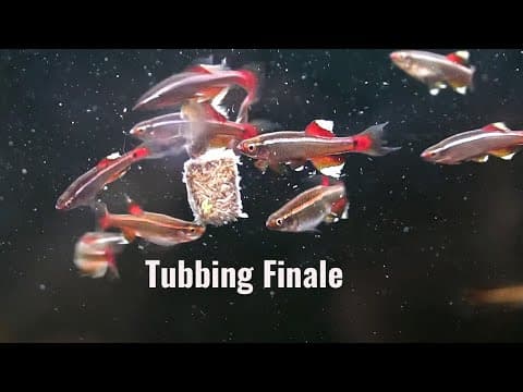 It Could Have Been A Disaster!