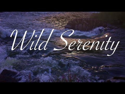 Wild Serenity (acoustic Guitar Song)