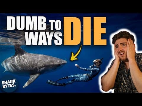 Why Experts Say Ocean Ramsey Is Causing Shark Attacks