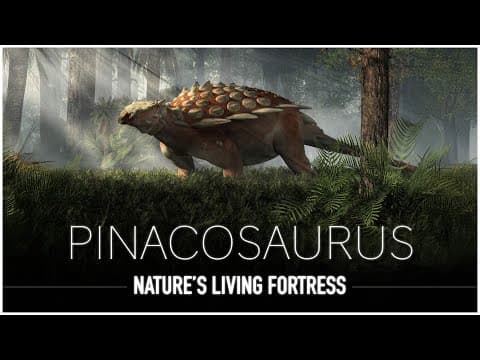 Pinacosaurus: The Armoured Beast Of The Cretaceous Desert | Dinosaur Documentary