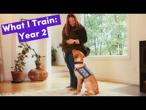 Everything My Service Dog Is Training For In 2026