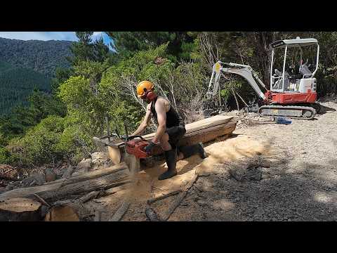 Milling Trees I Planted 25 Years Ago – Chainsaw Milling Tips & Tricks