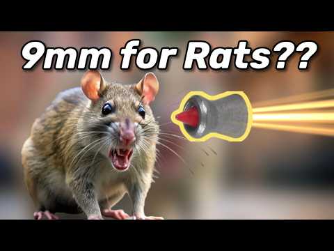 Surrounded By 100,000 Rats!!