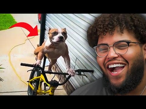 Memes You Simply Can't Resist