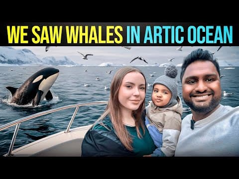 Lucky Day : Whale Watching Experience In Artic Ocean - Murmansk😍