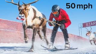I Competed in Reindeer Racing