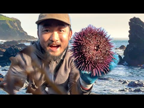 Low Tide Is Back! Coastal Foraging