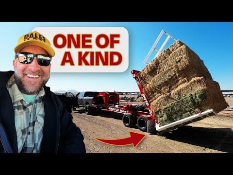 One Of A Kind Retriever!