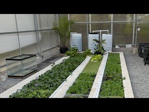 Ranchu Greenhouse Update