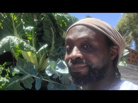 See How The Heat Defying Living Wall System Works, From The Bottom To The Top! #gardenlife #garden