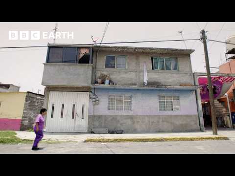 Mexico City's Self-built Homes | World's Busiest Cities | Bbc Earth Explore