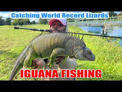Fishing For World Record Iguana | Monster Mike Fishing