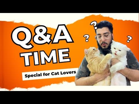 Cat Lovers Unite | Get Your Cat Questions Answered By Chubby Meows